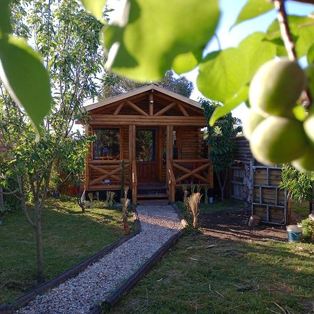 מר דל פלאטה Foresta Acantilados, Casa Container Y Cabana De Troncos מראה חיצוני תמונה