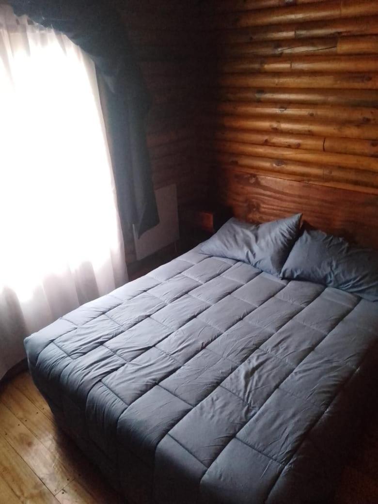 מר דל פלאטה Foresta Acantilados, Casa Container Y Cabana De Troncos מראה חיצוני תמונה