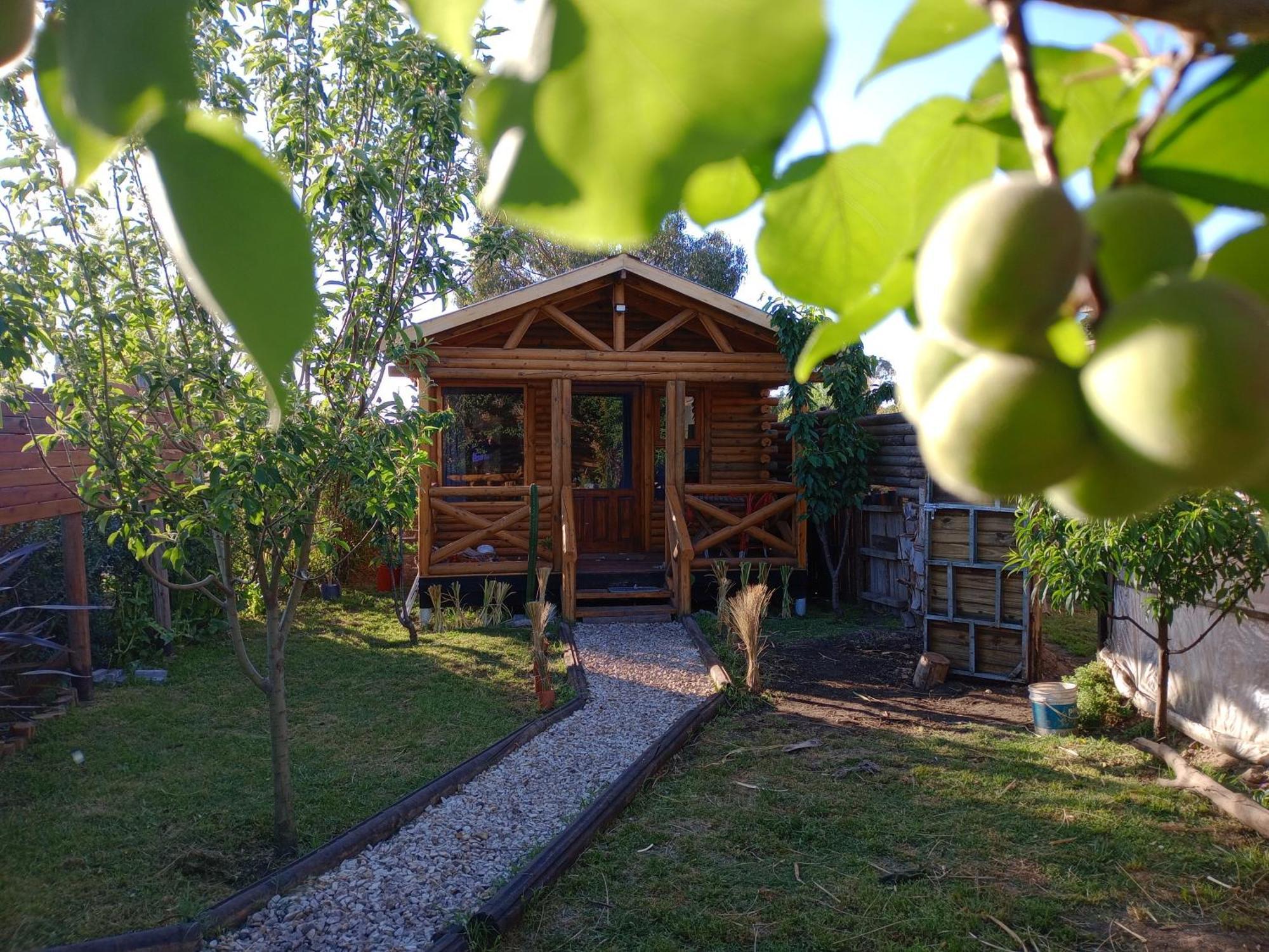 מר דל פלאטה Foresta Acantilados, Casa Container Y Cabana De Troncos מראה חיצוני תמונה