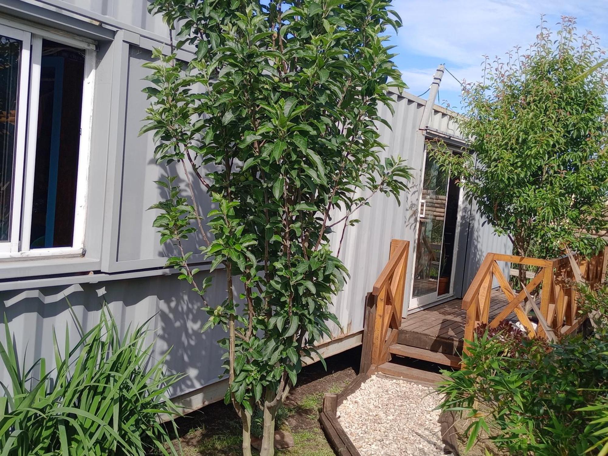 מר דל פלאטה Foresta Acantilados, Casa Container Y Cabana De Troncos מראה חיצוני תמונה